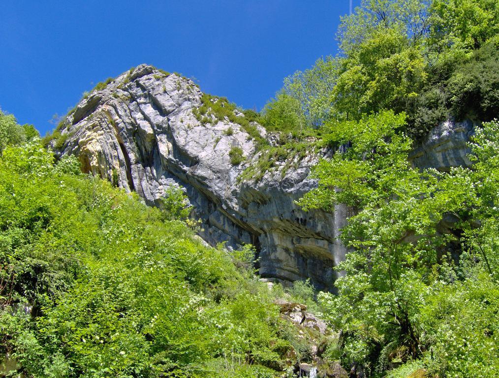 Vvf Jura Lac De Vouglans Maisod エクステリア 写真